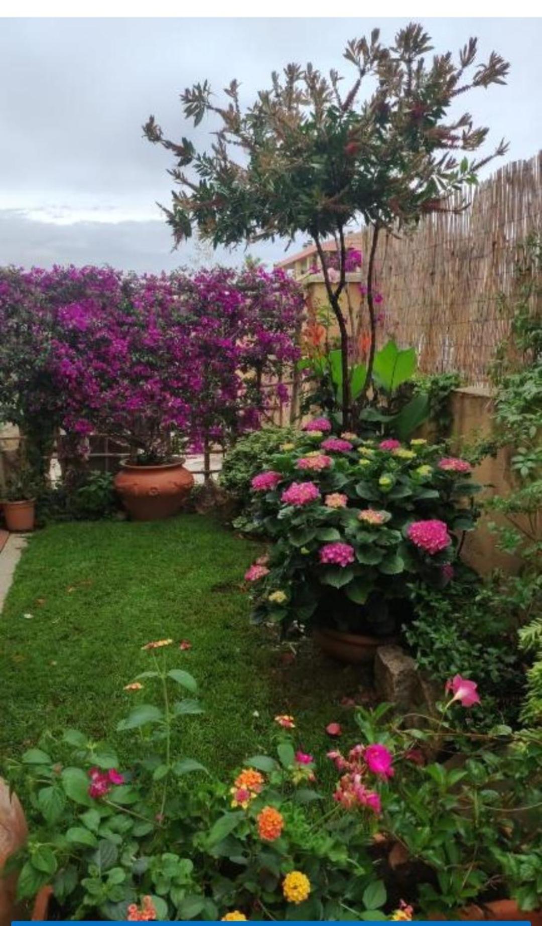 Apartmán La Casa Di Luca Olbia Exteriér fotografie